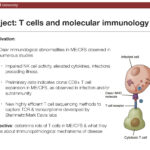 Project: T cells and molecular immunology