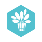 ideas icons_Plant sale ideas icons_Plant sale