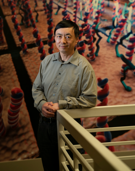 Wenzhong Xiao, PhD