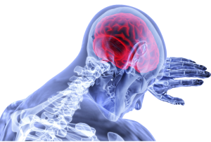 Illustration - transparent body leaning forward. The brain is highlighted. 