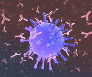 Illustration of antibodies attacking a virus. 