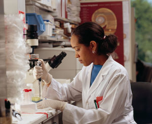 A woman researcher in a lab prepares a slide for the microscope. 