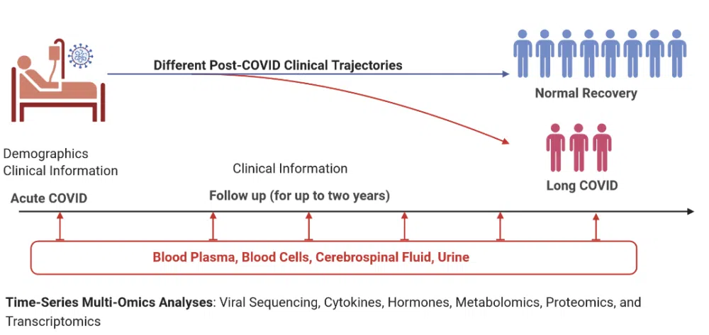 Illustration of different post-covid trajectories