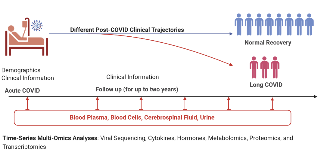 Long COVID to ME/CFS STUDY Open Medicine Foundation