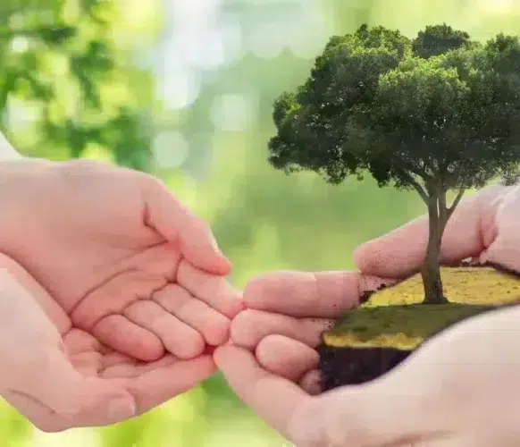 handing miniature tree to small hands