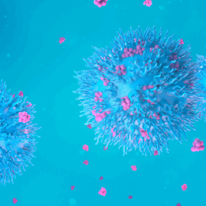 This image features a 3D-rendered illustration of lymphocytes—specifically T cells or B cells—within the immune system. The large, spherical structures in blue represent lymphocytes.
