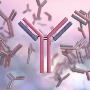 Stylized 3D Y‑shaped antibodies (immunoglobulins) floating on a soft pink‑purple background; one central antibody in sharp focus.